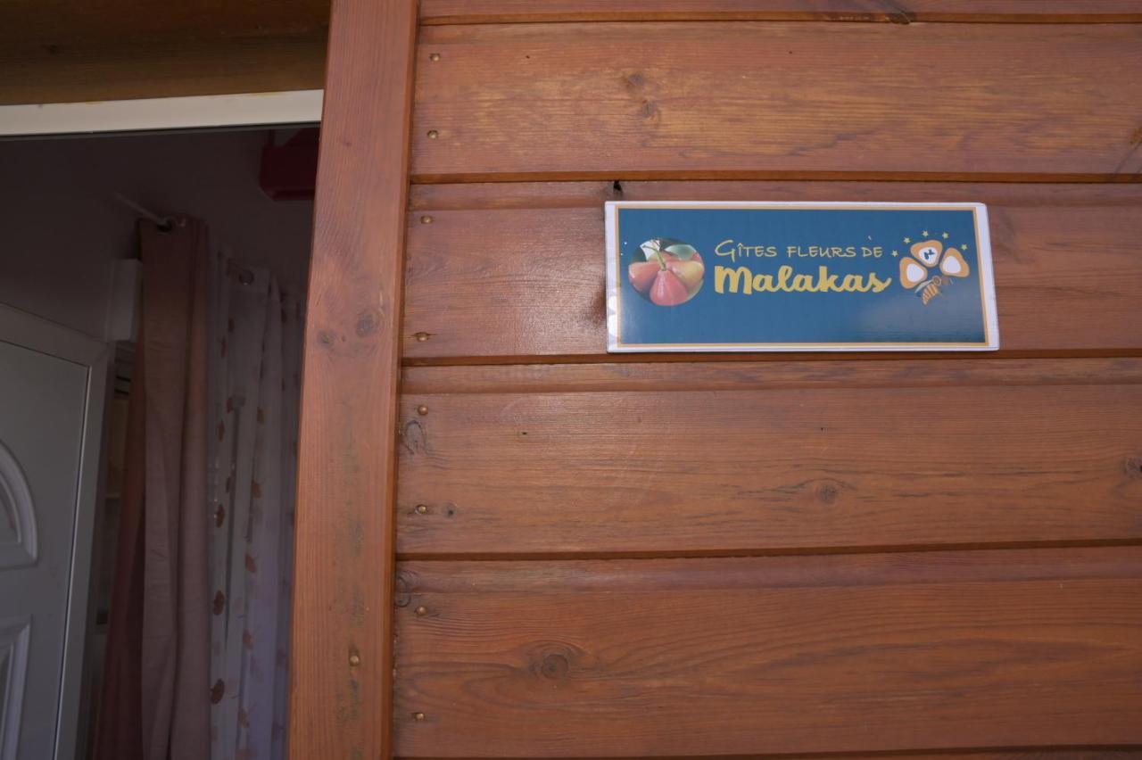 Gites Fleurs D'Abeilles Anse-Bertrand Zewnętrze zdjęcie